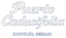 Puerto Caducifolia